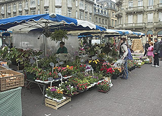 Markt in Strasbourg - Foto Henri Kniffke (CRDP d'Alsace)