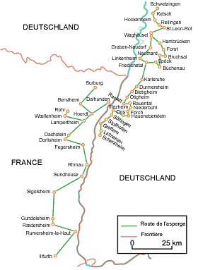 Route de l'asperge d'Alsace/Badische Spargelstrasse - Dessin Giulio Tosca (LMZ RP)