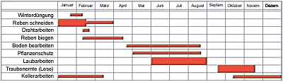 Weinberg Arbeitskalender - Zeichnung Giulio Tosca