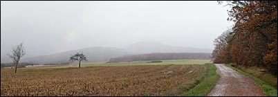 Paysage d'Alsace - Photo Pierre Kessler