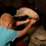 Das MelkenGregory melkt die Kuh , um Milch zu bekommen.