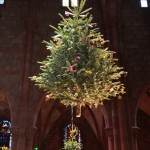 Zwei Weihnachtsbäume, die aufgehängt sind.Zwei Weihnachtsbäume, die in der St. Georgs Kirche in Schlettstadt aufgehängt wurden.