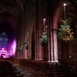 Weihnachtsbäume im KirchenschiffMehrere Weihnachtsbäume, die im Kirchenschiff  der St. Georgs Kirche in Schlettstadt aufgehängt wurden.