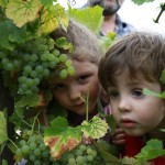 Adele und EdmondZwei kleinen Weinleser