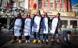 Great Christmas Pudding Race