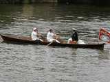 Swan Upping