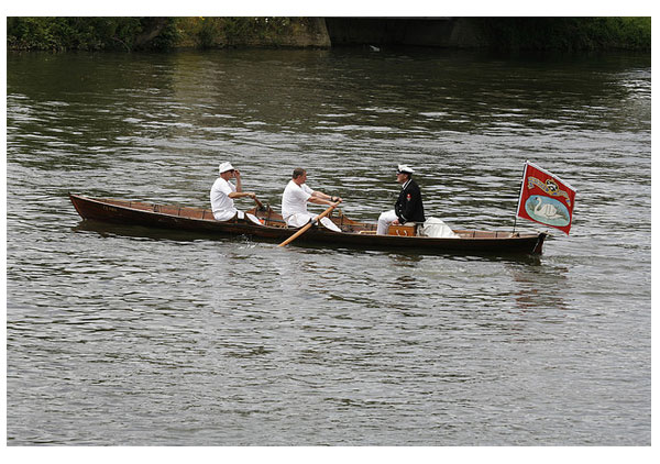 Swan Upping